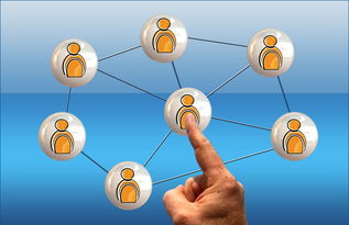 9游app-世界足球推广：南南合作助力新兴市场崛起，南亚足球强国